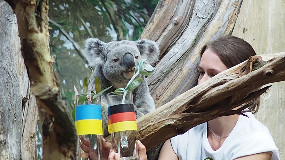 Foto: Zoo Leipzig Foto: Zoo Leipzig