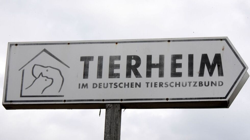 Künftig gibt es mehr Förderung für Tierschutz in Sachsen. (Symbolbild)