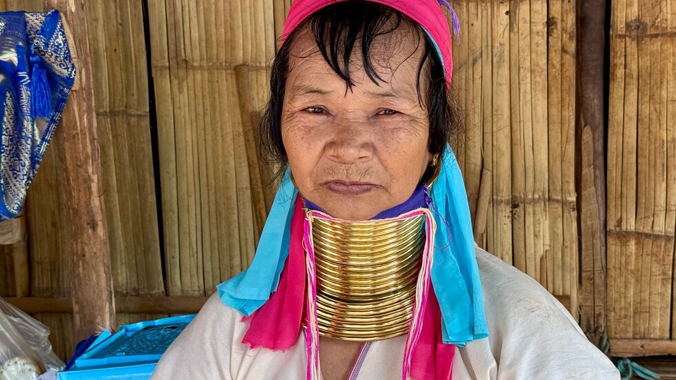 Bis zum 45. Lebensjahr kommen immer neue Ringe hinzu.