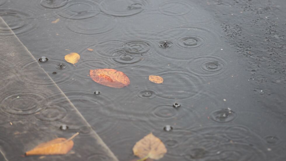 Insbesondere im Norden kam viel Regen herunter. (Archivbild) Insbesondere im Norden kam viel Regen herunter. (Archivbild)