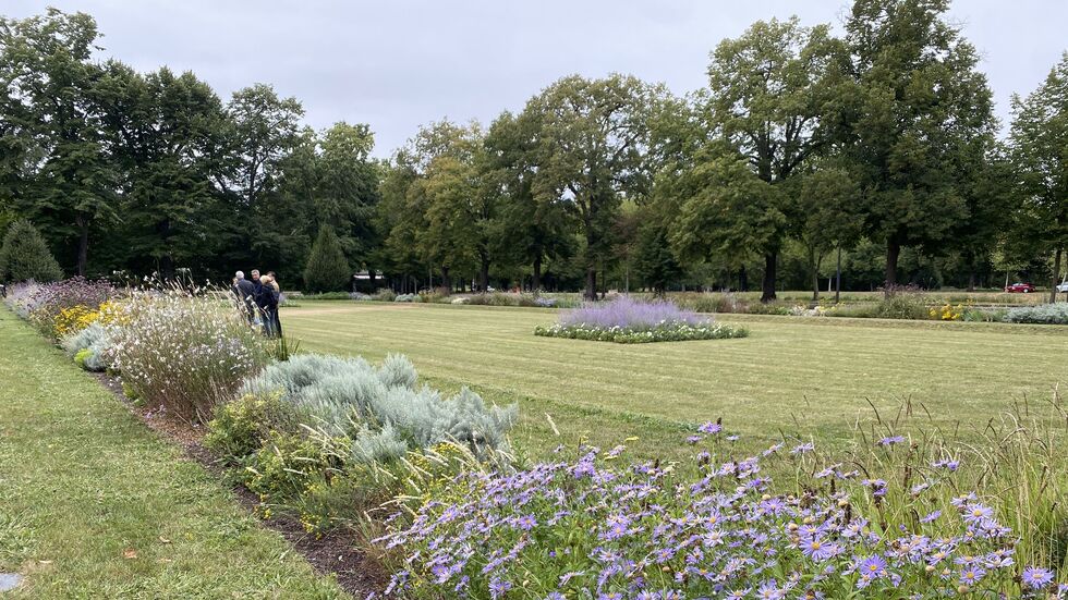 So eine schöne Grünfläche wie hier im Clara-Zetkin-Park sollte einst auch in Seehausen entstehen (Symbolbild). So eine schöne Grünfläche wie hier im Clara-Zetkin-Park sollte einst auch in Seehausen entstehen (Symbolbild).