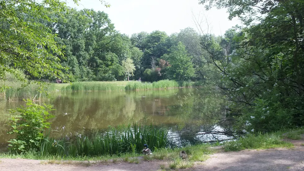 Der Schönauer Park in Leipzig, hier ist der Überfall passiert. Der Schönauer Park in Leipzig, hier ist der Überfall passiert.