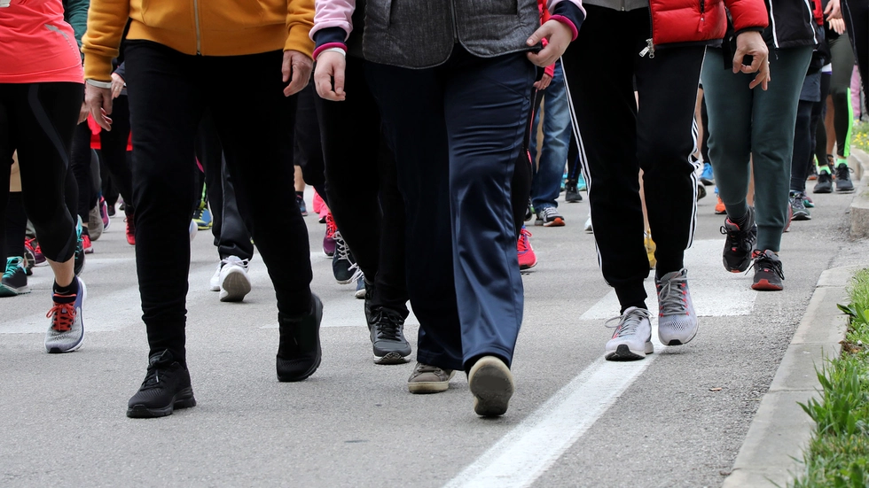 Symbolbild: (c) 123rf federicofoto Demonstration/Aufzug