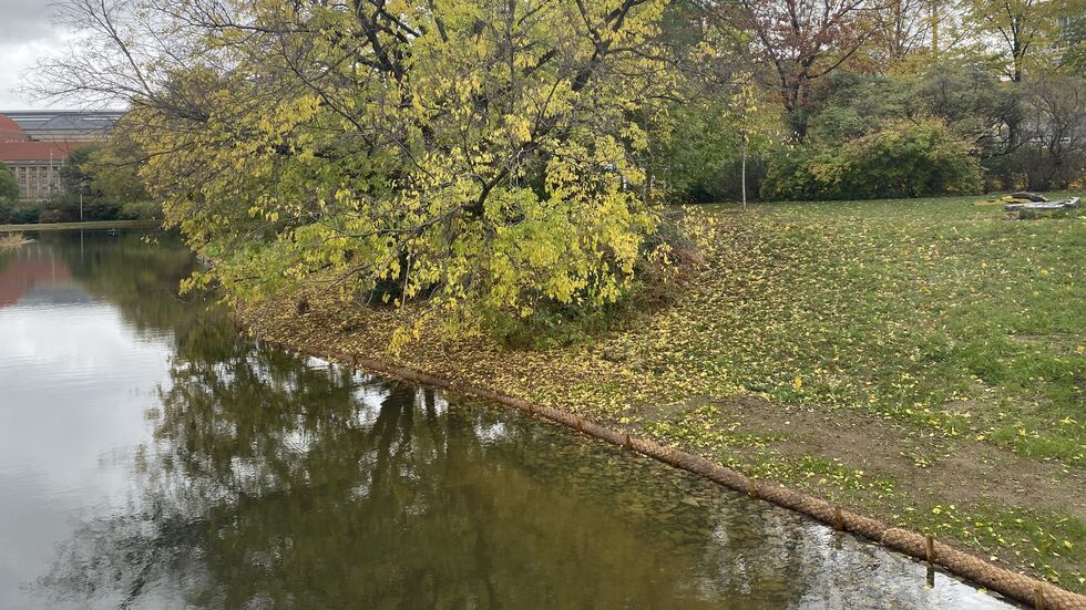 Das insgesamt etwa 250 Meter lange Ufer um den Teich wurde mit sogenannten "Kokoswalzen" gesichert.