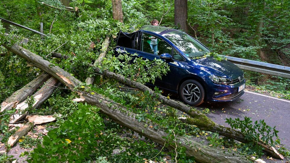 Die 25 Meter hohe Buche knickte plötzlich um und krachte während der Fahrt auf das voll besetzte Familienauto