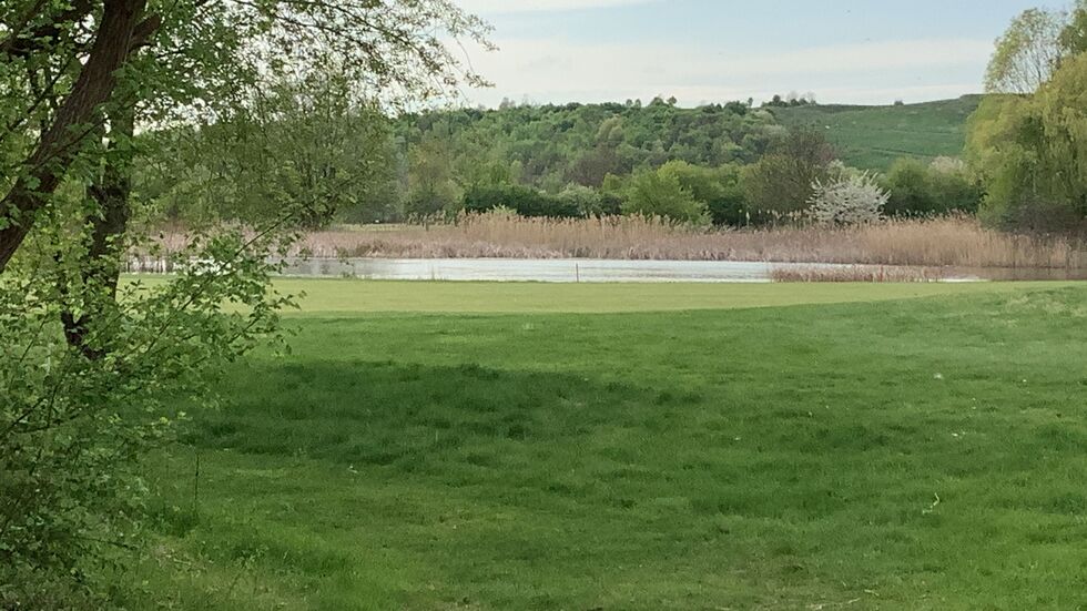 Dieses idyllische Plätzchen samt Waldstück soll plattgemacht werden.