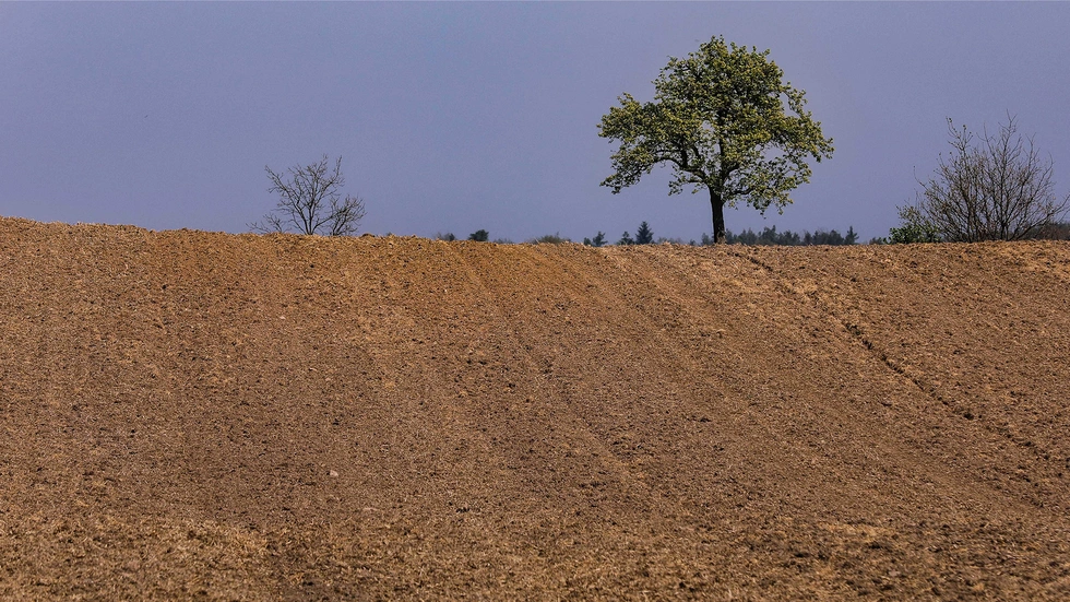 Symbolbild Symbolbild