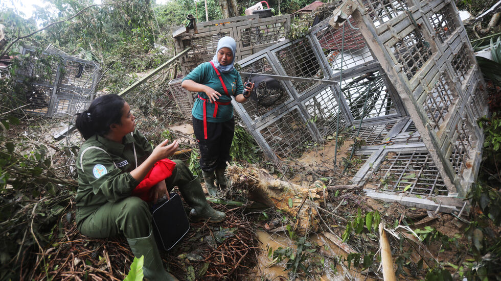 Die Mitarbeiter vor Ort sind angesichts der Schäden ratlos, wie es weitergehen soll. Die Mitarbeiter vor Ort sind angesichts der Schäden ratlos, wie es weitergehen soll.