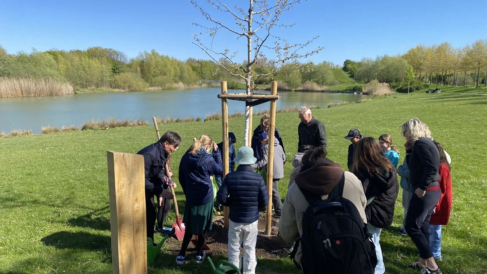 Umweltbürgermeister Heiko Rosenthal pflanzt gemeinsam mit Schüler der Schule am Gutspark Paunsdorf den Baum des Jahres 2026.