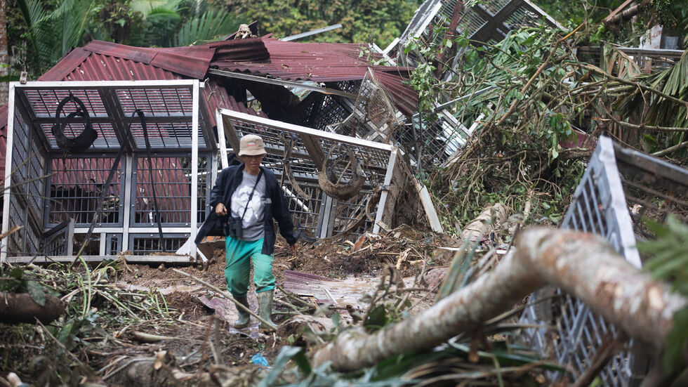 Die Auffangstation wurde größtenteils zerstört. Die Auffangstation wurde größtenteils zerstört.