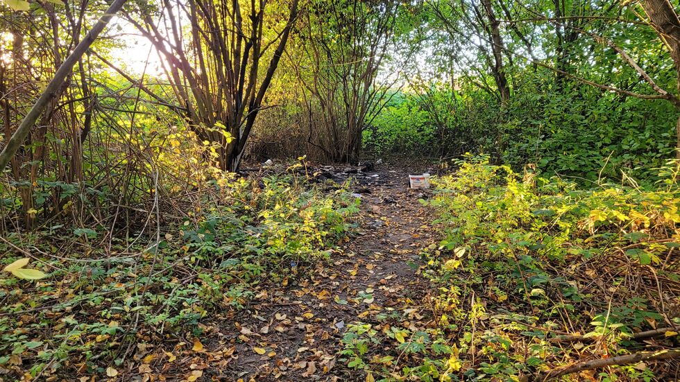 Die Schlafstätte des Obdachlosen befand sich zwischen mehreren Büschen und Bäumen. Die Schlafstätte des Obdachlosen befand sich zwischen mehreren Büschen und Bäumen.