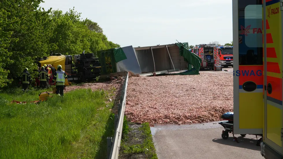 Das Hackfleisch (Schlachtabfälle) kippte auf die Autobahn.