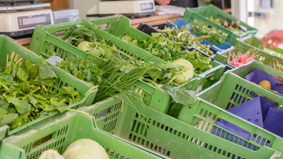 Symbolbild © 123rf Alfred Hofer Symbolbild © 123rf Alfred Hofer