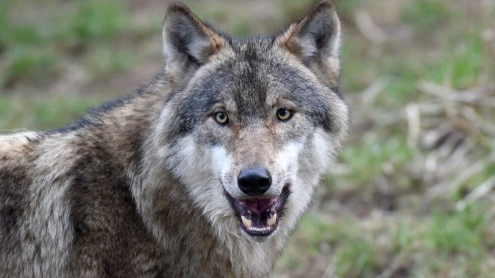 Symbolbild Symbolbild