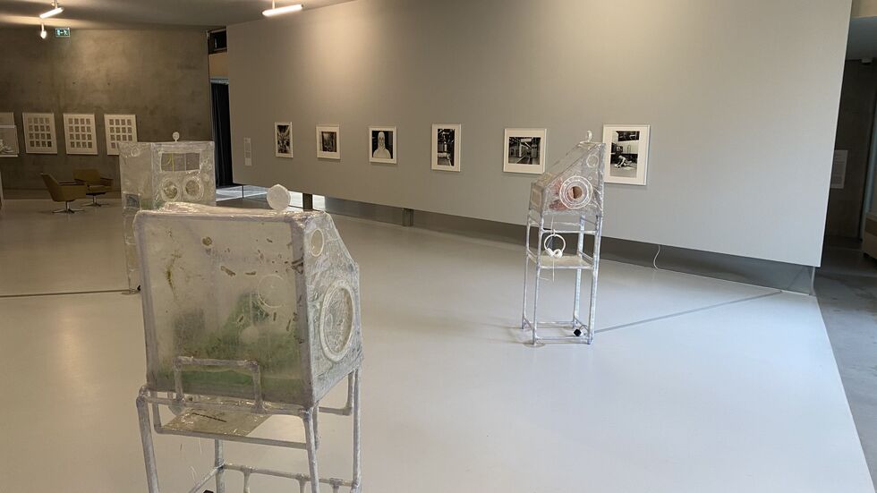 Interaktive Elemente in der Ausstellung. Interaktive Elemente in der Ausstellung.