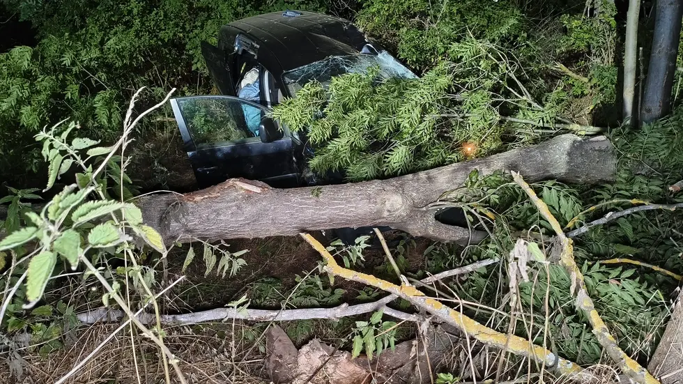Die Unfallstelle im Wald neben der Landstraße bei Delitzsch. Die Unfallstelle im Wald neben der Landstraße bei Delitzsch.