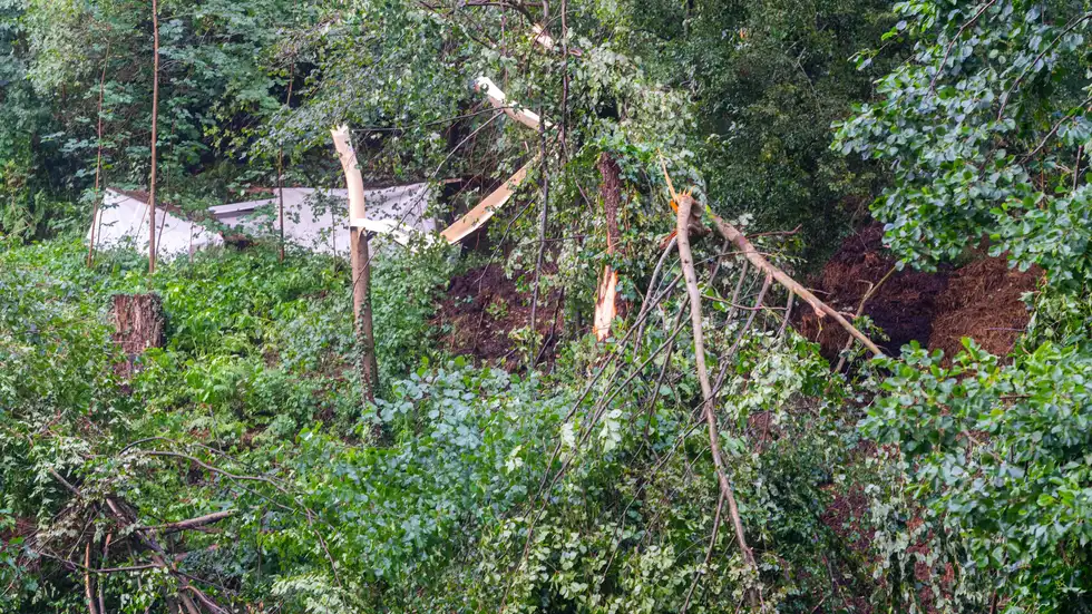 Die schweren Unwetter hinterließen eine Spur der Verwüstung im Nationalpark Sächsische Schweiz Die schweren Unwetter hinterließen eine Spur der Verwüstung im Nationalpark Sächsische Schweiz