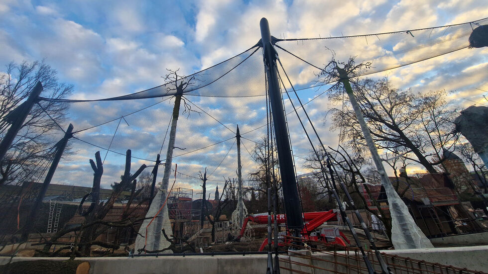 Hier entstehen die neuen, begehbaren Großvolieren im Zoo Leipzig. Sie sollen im Frühjahr eröffnen. Hier entstehen die neuen, begehbaren Großvolieren im Zoo Leipzig. Sie sollen im Frühjahr eröffnen.