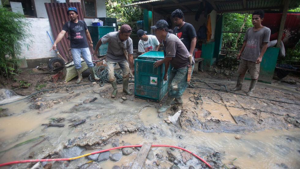 Mitarbeiter beim Aufräumen in der Auffangstation. Mitarbeiter beim Aufräumen in der Auffangstation.