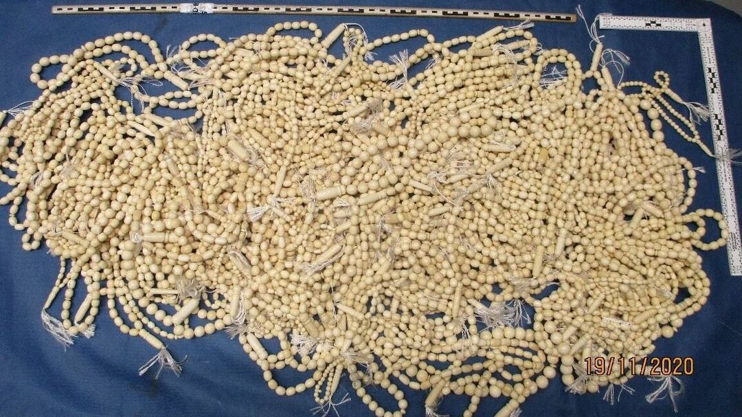 Zoll beschlagnahmt 20 Kilogramm Elfenbein am Leipziger Flughafen Radio Leipzig