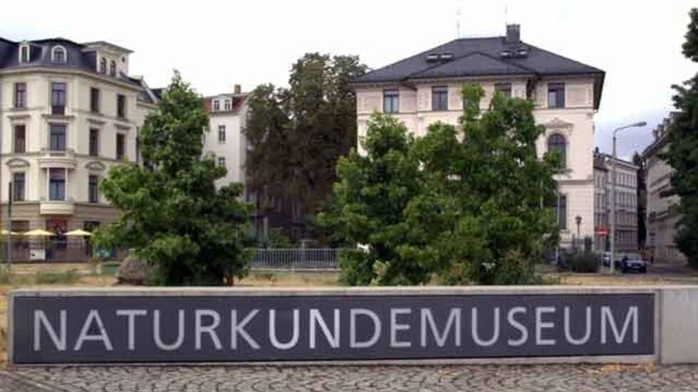 Symbolbild Symbolbild