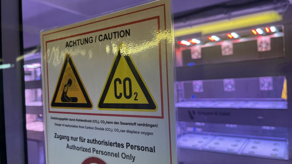 Einige Pflanzen werden für ein besseres Wachstum begast.