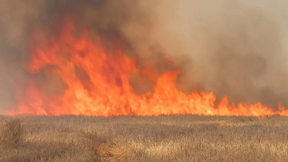 Die Flammen verwandelten sich wegen dem trockenen Boden in eine regelrechte Feuerwalze, berichten Augenzeugen.