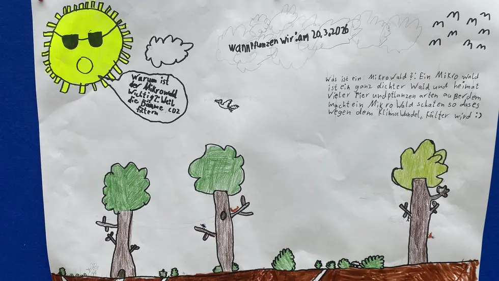 Die Kinder haben auf selbst angefertigten Infotafeln über den Mikrowald informiert. Die Kinder haben auf selbst angefertigten Infotafeln über den Mikrowald informiert.