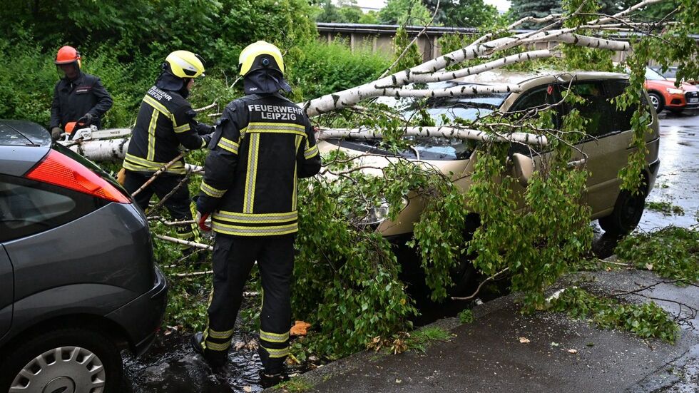 Der Baum ist in der Voltairestraße (Gohlis/Möckern) auf zwei Autos  Der Baum ist in der Voltairestraße (Gohlis/Möckern) auf zwei Autos