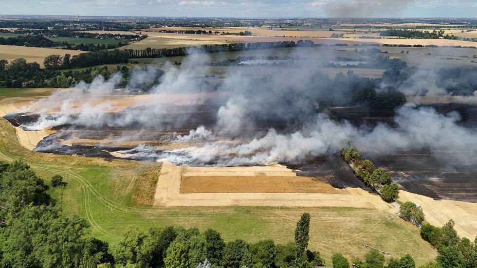 Das qualmende Getreidefeld.