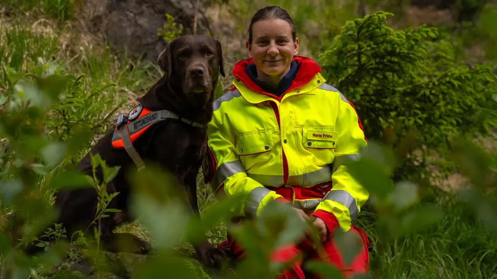 Labrador-Retriever Olli mit seinem Frauchen Maria Friebe. Der Hund spürte in Penig einen vermissten Rentner auf. Labrador-Retriever Olli mit seinem Frauchen Maria Friebe. Der Hund spürte in Penig einen vermissten Rentner auf.