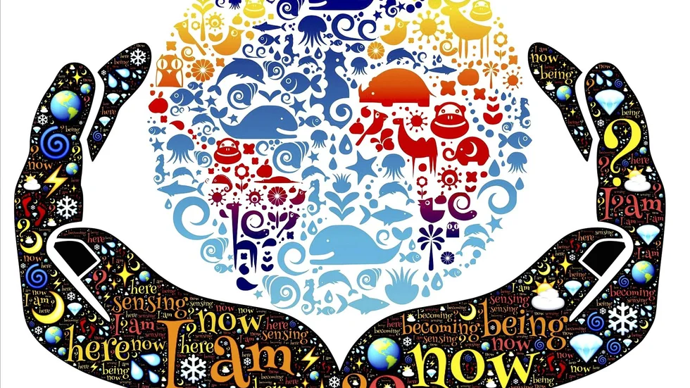 (c) Pixabay John Hain