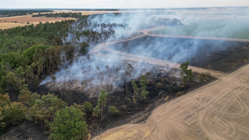 Etwa 17 Hektar Wald sollen verbrannt sein. Etwa 17 Hektar Wald sollen verbrannt sein.
