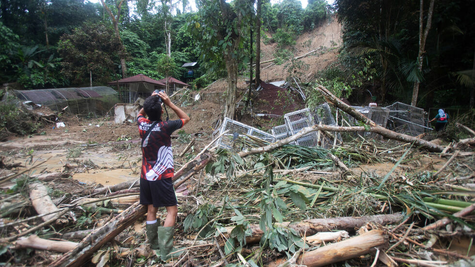 Blick auf den Hügel, wo die Erdrutsche herkamen. Blick auf den Hügel, wo die Erdrutsche herkamen.