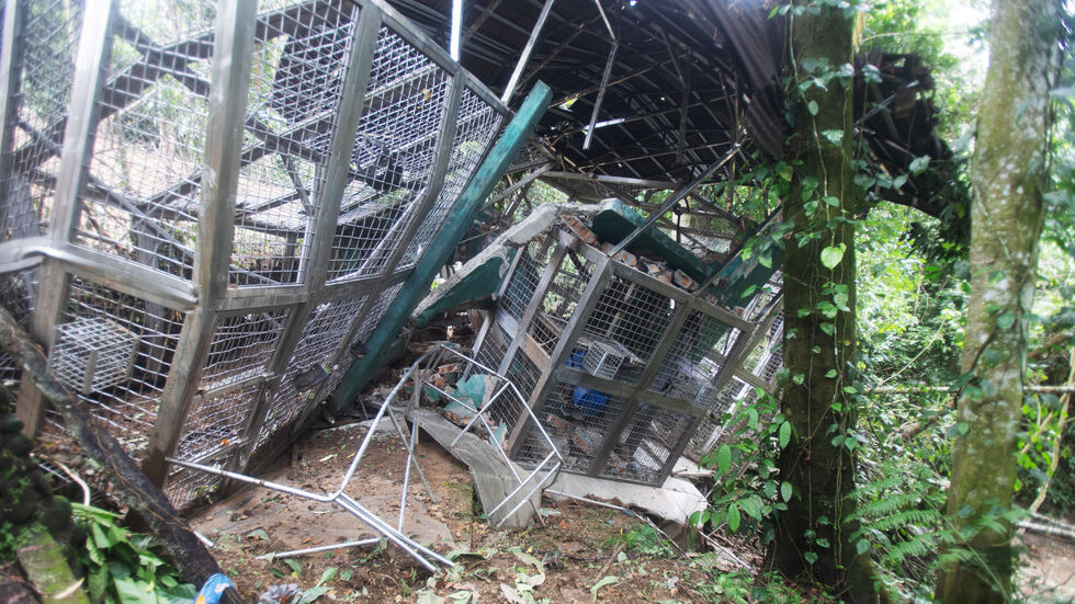 Auch viele Käfige wurden schwer beschädigt oder zerstört. Auch viele Käfige wurden schwer beschädigt oder zerstört.