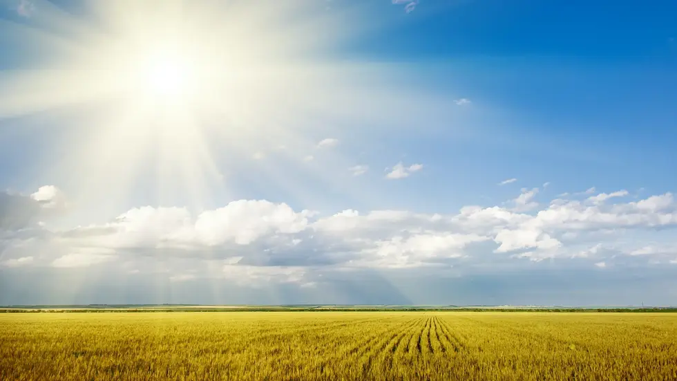 In Sachsen war es 2022 ungewöhnlich warm und sonnig. (Symbolbild)