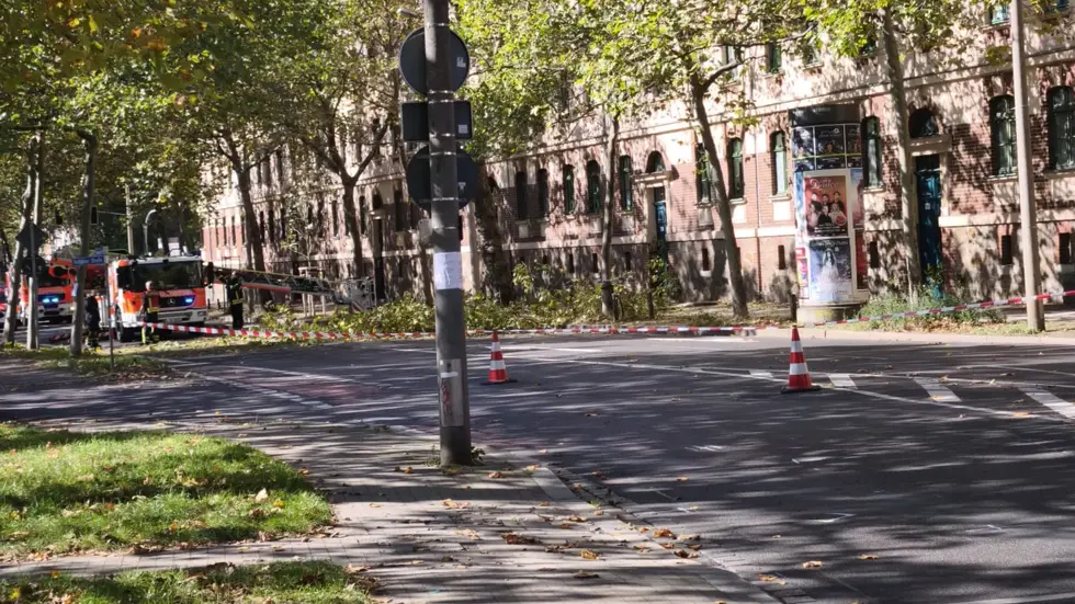 Ganze fünf Fahrzeuge waren für einen Ast im Einsatz. Ganze fünf Fahrzeuge waren für einen Ast im Einsatz.