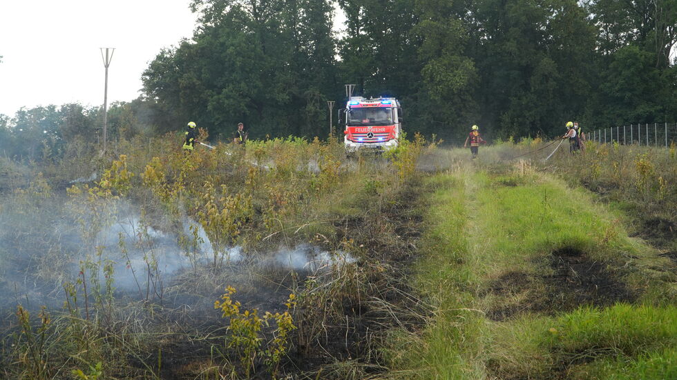 Zwischenzeitlich drohte der Brand auch auf Waldgebiete überzugreifen.