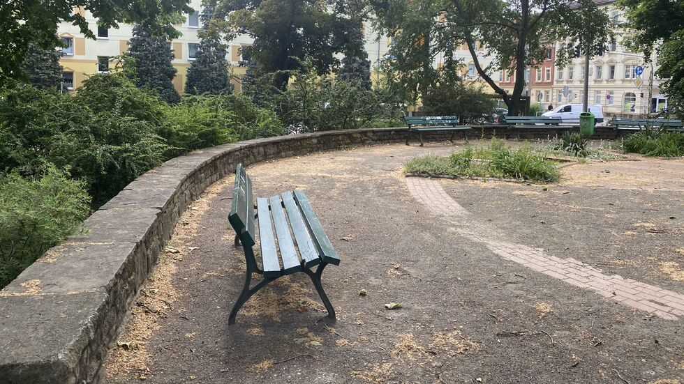 Der Tatort zwei Wochen nach dem brutalen Angriff. Der Tatort zwei Wochen nach dem brutalen Angriff.