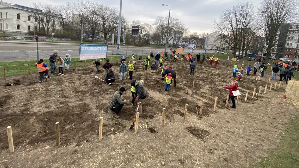 Die Schüler arbeiten gemeinsam mit ihren Eltern, Lehrkräften, Freunden und Mitarbeitern des Amts für Stadtgrün und Gewässer am entstehenden Mikrowald. Die Schüler arbeiten gemeinsam mit ihren Eltern, Lehrkräften, Freunden und Mitarbeitern des Amts für Stadtgrün und Gewässer am entstehenden Mikrowald.