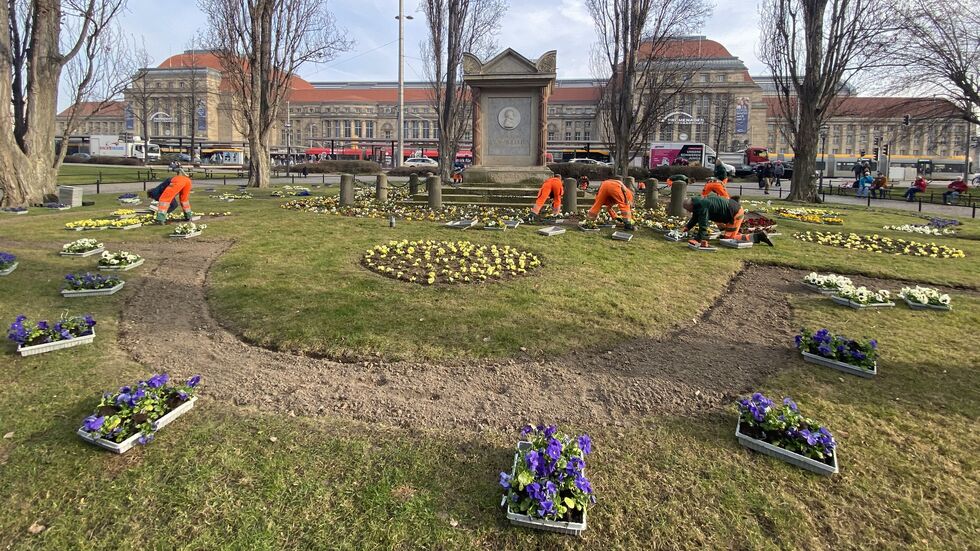 Die Gärtner am Dienstagvormittag beim Pflanzen von Stiefmütterchen gegenüber vom Leipziger Hauptbahnhof.
