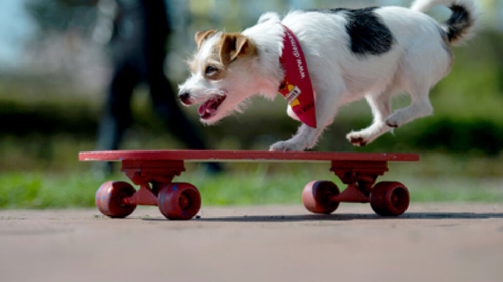 Symbolbild: dpa  Symbolbild: dpa