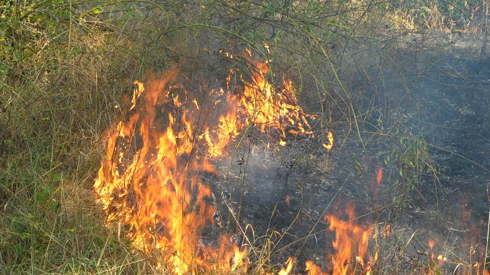 Die bewachsene Fläche in Grünau Nord brannte bereits zum dritten Mal.