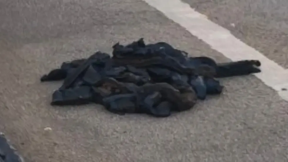 Unter anderem diese klebrigen Klumpen werden aktuell genauer unter die Lupe genommen. Unter anderem diese klebrigen Klumpen werden aktuell genauer unter die Lupe genommen.