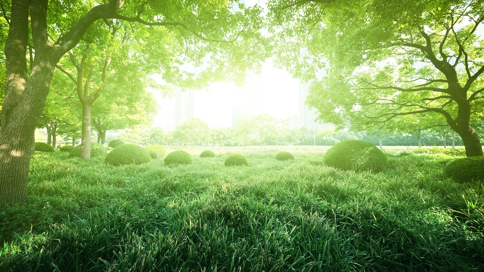 Symbolbild Symbolbild