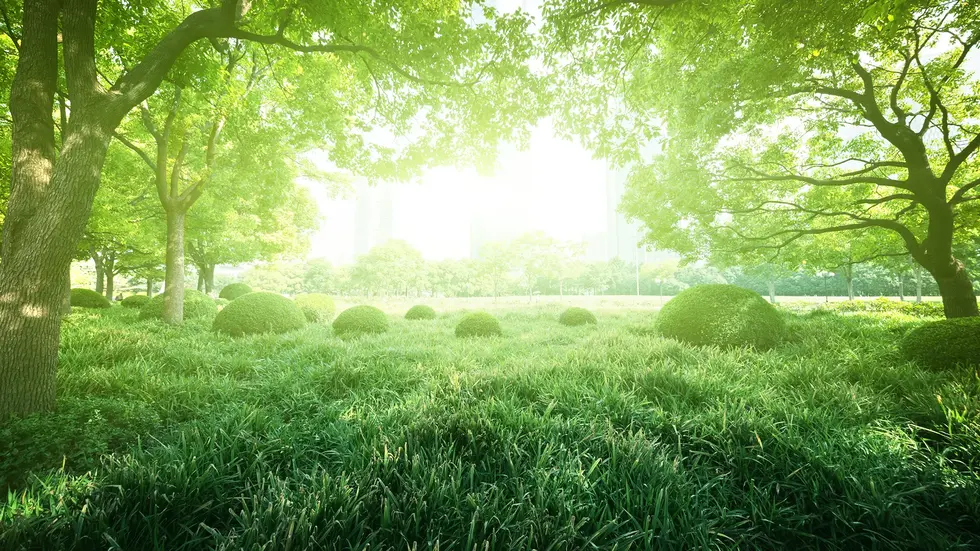 Symbolbild © 123rf Iakov Kalinin Symbolbild © 123rf Iakov Kalinin