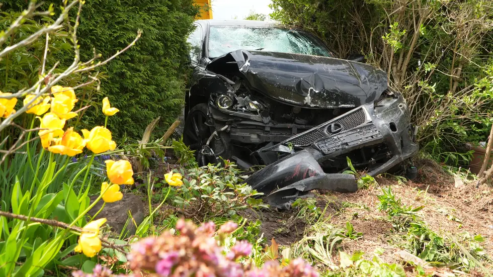 Der Toyota Lexus krachte durch die Hecke in das Grundstück ...