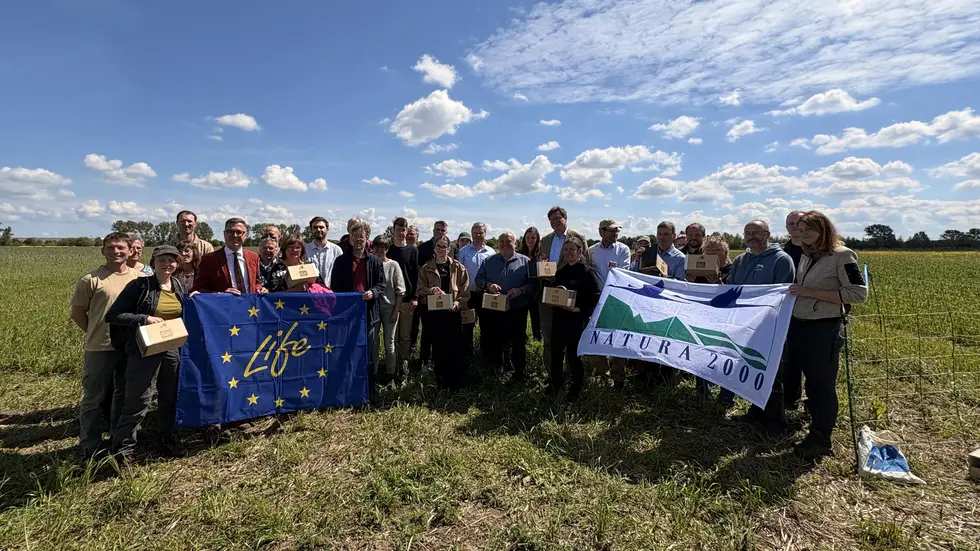 Die bunte Truppe mit unter anderem Sachsens Umwelt- und Landwirtschaftsminister Georg-Ludwig von Breitenbuch, Zoo-Leipzig-Direktor Jörg Junhold und dem Umweltdezernenten des Landkreises Nordsachsen, Eckhard Rexroth, bei der Auswilderungsaktion mitten auf dem Feld.
