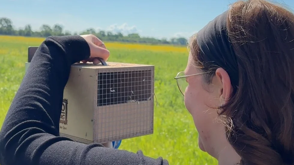 Reporterin Clarissa Kunath hat sich das Projekt (und besonders die Hamster) genauer angeschaut.
