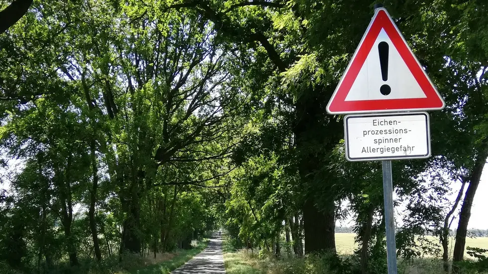 Mit solchen Schildern wird vor dem Eichenprozessionsspinner gewarnt.